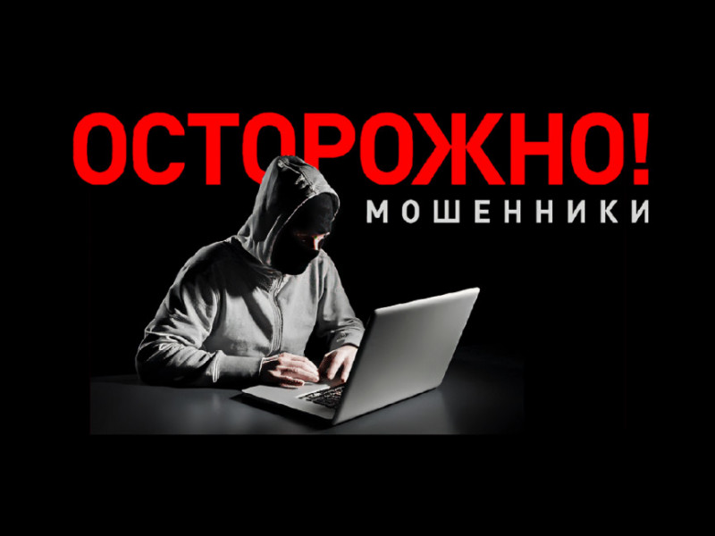 Мошенничество: виды, наказание и отличия аферистов от кидал