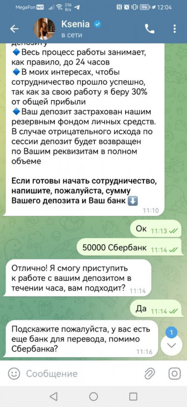 Татьяна Костина (Денисова) - ижевская мошенница