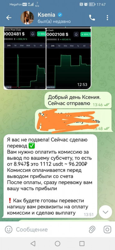 Татьяна Костина (Денисова) - ижевская мошенница