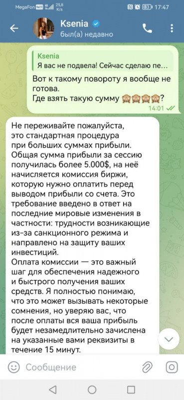 Татьяна Костина (Денисова) - ижевская мошенница